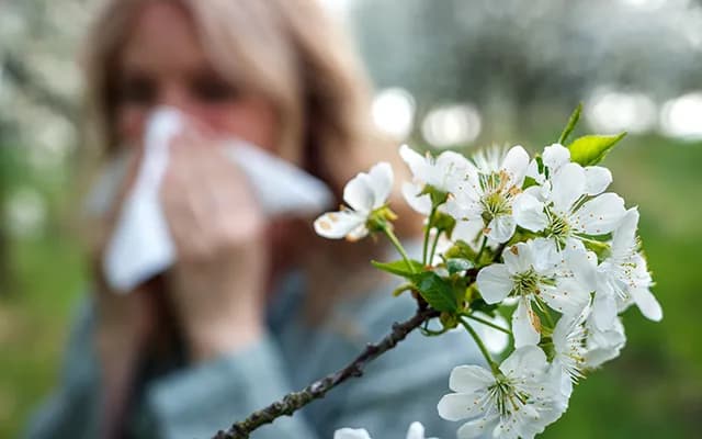 Bahar Alerjisi Belirtileri Nelerdir? Ne İyi Gelir?